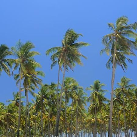 Tiara Fiesta Beach Cottages مورجيم المظهر الخارجي الصورة
